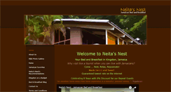 Desktop Screenshot of neitasnest.com